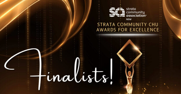 Finalists SCA awards 2023